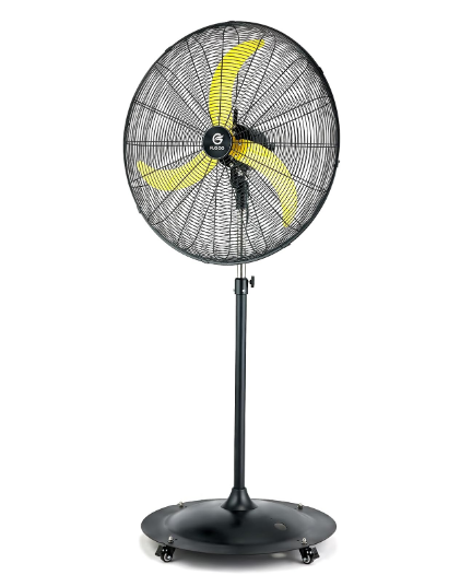 image13.png FAN12 - Image 1