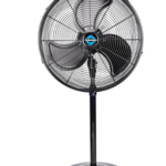 FAN21