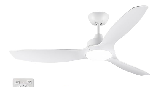 image43.png FAN42 - Image 1